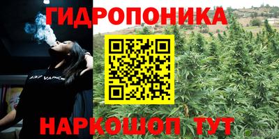 ешки Рязань