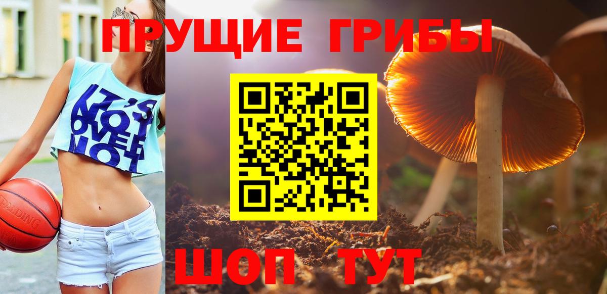 Галлюциногенные грибы ЛСД  где найти   Галлюциногенные грибы Magic Shrooms  Троицк  Вход с VPN 